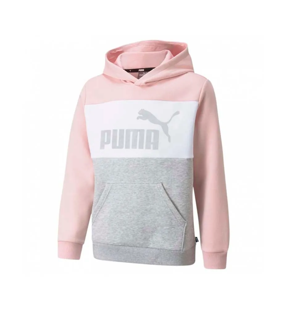 Hoodie Sudadera Capucha Casual_Nio_PUMA Ess+ Colorblock Hoodie Fl B